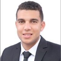 Aly Ahmed Email