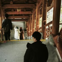 PitPat Employee 徐帅康's profile photo