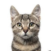 My Life Employee Gail Cerick's profile photo