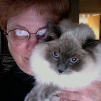 Bradley University Employee Beth Linn's profile photo