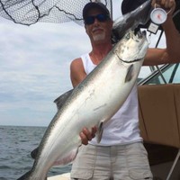 Gerald Grapevine Email & Phone Number