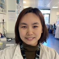 SENISCA Employee Ling Li's profile photo