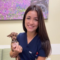 Carolina Garcia Email & Phone Number