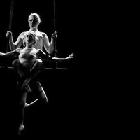 AERIAL DANCE CHICAGO Employee Karen Doyle's profile photo