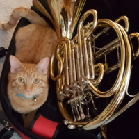 TImberline Church Employee Janice Schlieker's profile photo