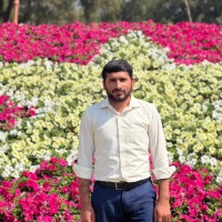 URated Interactive Employee Sajjad Ali's profile photo