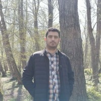 Ali Dorosty Email
