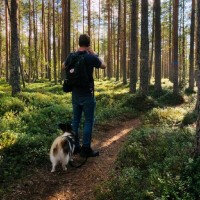 Znipe Esports Employee Martin Runelöv's profile photo