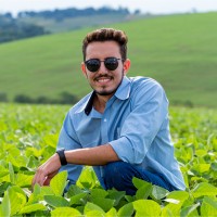Thales Augusto Email