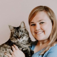 Petzey Employee Lindsey Barra's profile photo