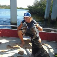 York Bridge Concepts, Inc. Employee Vladimir Zoubenko's profile photo