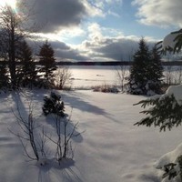 Nilo Employee Diane Morin's profile photo