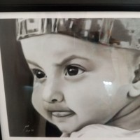 Reza Pashazade Email