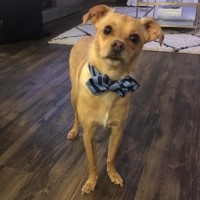 Teamable Software (acquired) Employee Charlie Djilas's profile photo