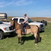 Kurt McCann's profile photo