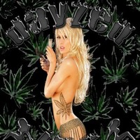 Dayzed I NC. Employee Brian Gurney's profile photo