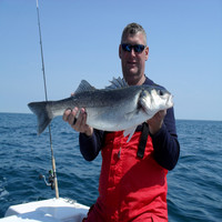 Willemen Infra Employee Louis Scheele's profile photo