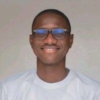 Nigeria Youth SDGs Network Employee Yusuf Armayau's profile photo