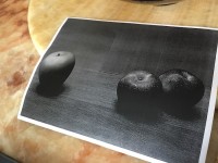 Robin Monk Email