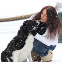 Condon Companies Employee Cindy Aartsen's profile photo