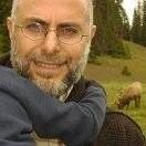Systems Intelligence Employee Ibrahim Elghonimi's profile photo