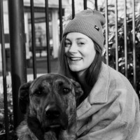 Katie Boyd Email & Phone Number