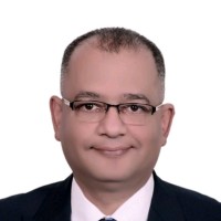 Hossam Salem Email & Phone Number