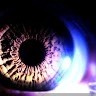 FUNEXPRESS Employee Antonio Kovalsky's profile photo