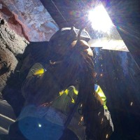 Mark Winst's profile photo