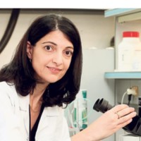 Carmel Olefins Employee Rotem Shemesh's profile photo