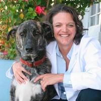 MyPaws Employee Jill Williamson's profile photo