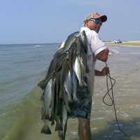 Vallen Distribution, Inc. Employee Robby Martin's profile photo