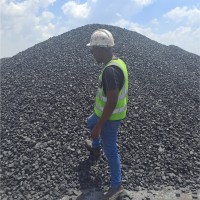 Copalcor Employee Nikie Hlongwane's profile photo
