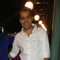Aly Ibrahim Email