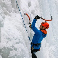 Matt Young Email & Phone Number