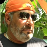 Cold Logistics, LLC Employee Paul Berman's profile photo