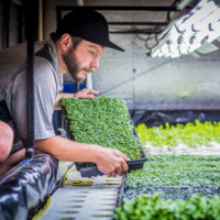 Urban Horitculture Supply Employee Rob Mock's profile photo