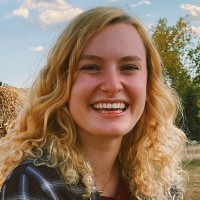 Design Studio Blue Employee Megan Howard's profile photo