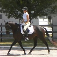 Florence Mathieu-Conner Email & Phone Number