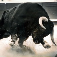 Shingle Springs Band of Miwok Indians Employee Adams Brad's profile photo