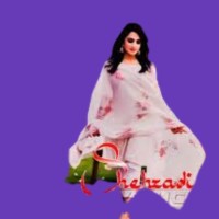 Jim Decarlo'S Email & Phone Number