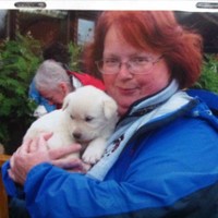 The Arc of the Farmington Valley, Inc. "Favarh Employee Christine Carroll's profile photo