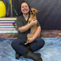 Puppy Haven Employee Lily Lamb's profile photo
