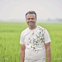 Raju Ahmmed Email