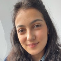 Adi Tamarov Email
