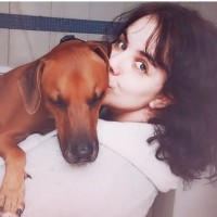 Steffani Estevo Email