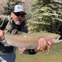 Premier Bone & Joint Centers Employee Shawn Woodcook's profile photo