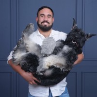 Logistify Employee Gianfranco Rodriguez's profile photo