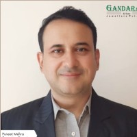 Puneet Mehra Email & Phone Number