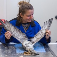 Physics and Physical Chemistry of Foods - Wageningen University and Research Employee Susanne Kühn's profile photo
